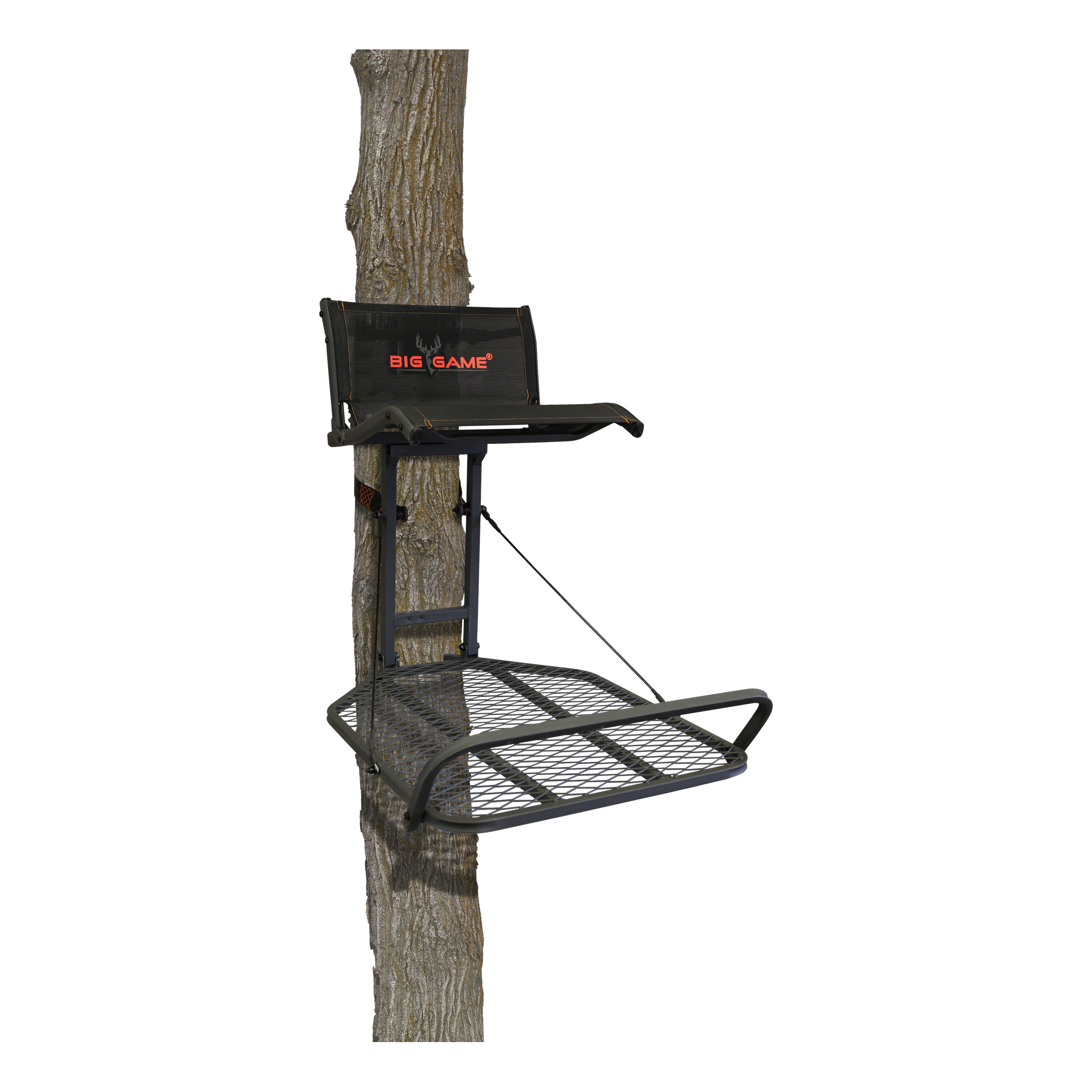 Big Game Warrior HangOn Treestand Bass Pro Shops